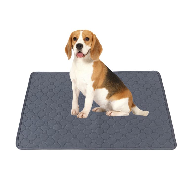 Fresh Floor Pads