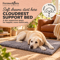 CloudRest Support Bed XL hero image