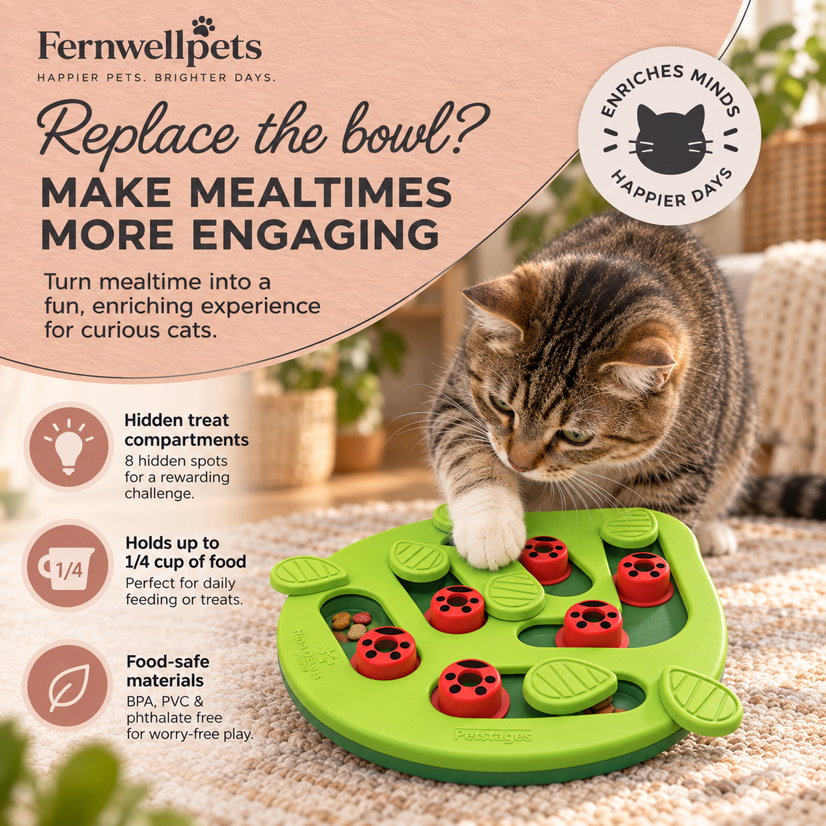 Fernwellpets Curiosity Cat Puzzle Hidden Hunt variant