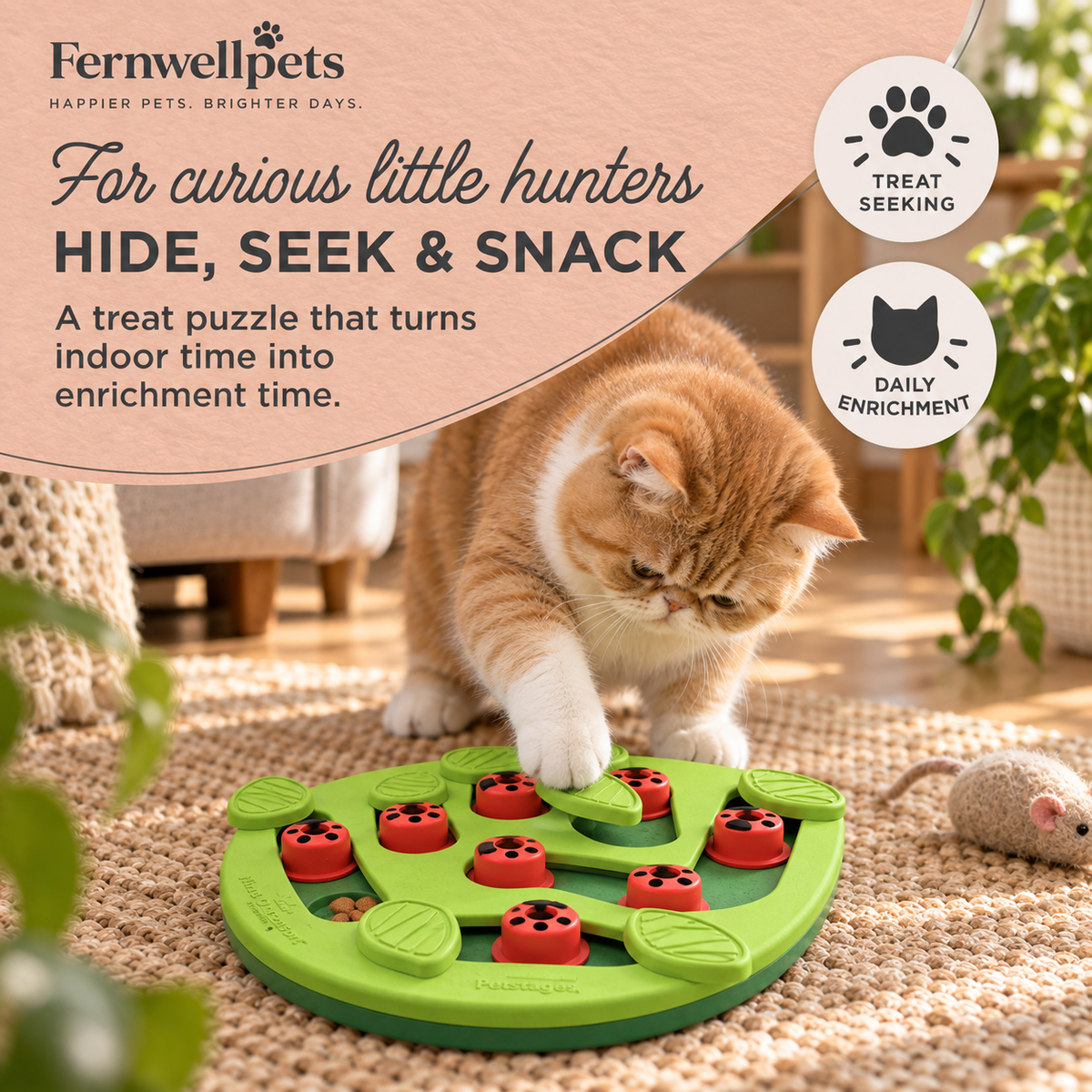 Curiosity Cat Puzzle Hidden Hunt play image