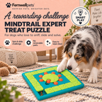 Fernwellpets Mindtrail Expert Treat Puzzle