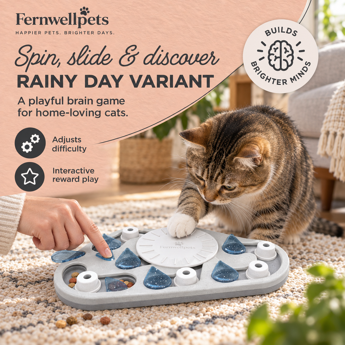 Curiosity Cat Puzzle Raintrail Advanced image