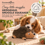 Hedgehug Snuggle Squeaker plush dog toy by fernwellpets