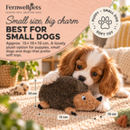 Hedgehug Snuggle Squeaker size guide for small dogs and puppies