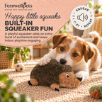 Hedgehug Snuggle Squeaker with built-in squeaker
