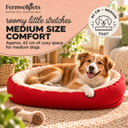 RubyRest Joint Support Bed medium size guide image