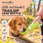 TrailSip Leaf Bottle – 500ml feature image showing leaf-shaped drinking tray and carabiner