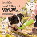 TrailSip Leaf Bottle – 500ml dog drinking outdoors in fernwellpets peach theme